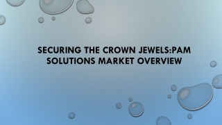 Global Privileged Access Management (PAM) Solutions Market