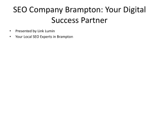 Link_Lumin_SEO_Company_Brampton_Presentation