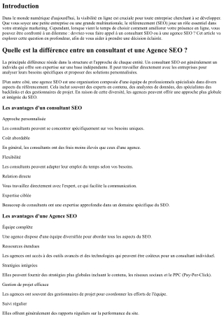 Quelle est la différence entre un consultant et une Agence SEO ?