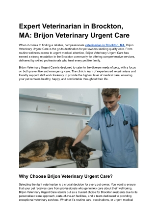 Expert Veterinarian in Brockton, MA_ Brijon Veterinary Urgent Care
