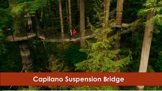 Capilano Suspension Bridge - www.northshoredailypost.com