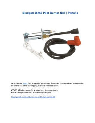 Blodgett 56463 Pilot Burner-NAT _ PartsFe
