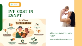 Ivf Cost In Egypt | World Fertility Services