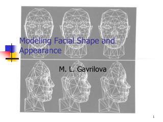 Modeling Facial Shape and Appearance