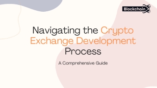 Navigating the Crypto Exchange Development Process (1)