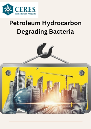 How Petroleum Hydrocarbon Degrading Bacteria Work?