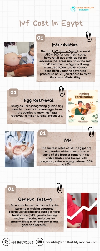 Ivf Cost In Egypt | World Fertility Services