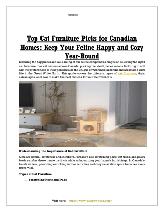 Top Cat Furniture Picks for Canadian Homes: Keep Your Feline Happy and Cozy Year