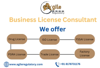 Business License Consultant