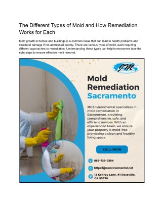 The Different Types of Mold and How Remediation Works for Each