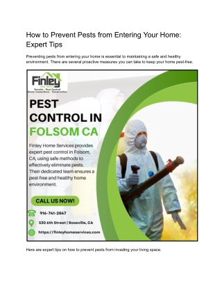 How to Prevent Pests from Entering Your Home_ Expert Tips
