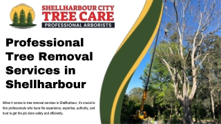 Professional Tree Removal Services in Shellharbour