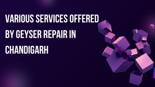 Various Services Offered by Geyser Repair in Chandigarh Call Us 7973038143 (1)