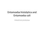 Entamoeba histolytica and Entamoeba coli