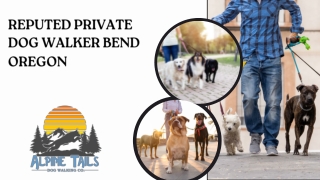 Reputed Private Dog Walker Bend Oregon