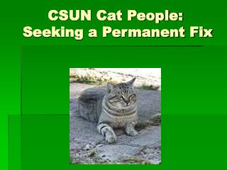 CSUN Cat People: Seeking a Permanent Fix