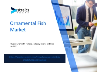 Ornamental Fish Market: Opportunities and Challenges Across Regions