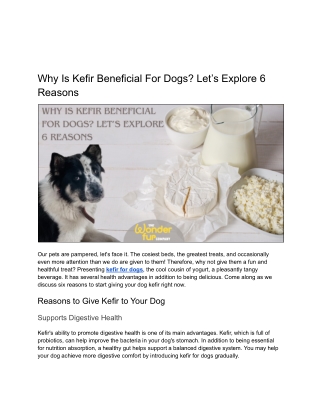 Why Is Kefir Beneficial For Dogs_ Let’s Explore 6 Reasons