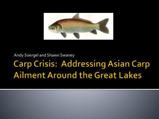 Carp Crisis: Addressing Asian Carp Ailment Around the Great Lakes