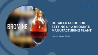 Detailed Report On Bromate Manufacturing Unit PDF