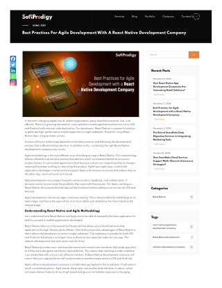 Best Practices for Agile Development with a React Native Development Company