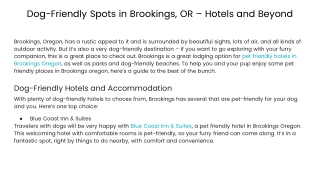 Dog-Friendly Spots in Brookings, OR – Hotels and Beyond