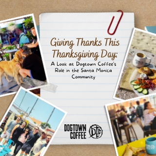 Giving Thanks This Thanksgiving Day A Look at Dogtown Coffee's Role in the Santa Monica Community