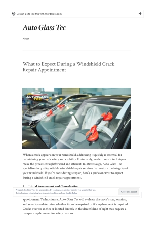 What to Expect During a Windshield Crack Repair Appointment