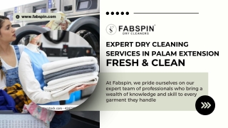 Expert Dry Cleaning Services in Palam Extension – Fresh & Clean