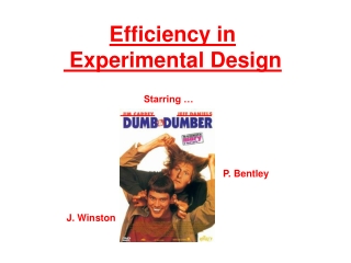 Efficiency in Experimental Design
