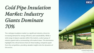 Cold-Pipe-Insulation-Market-Industry-Giants-Dominate-70percent