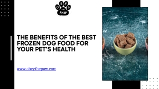 The Benefits of the Best Frozen Dog Food for Your Pet’s Health