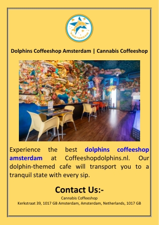 Dolphins Coffeeshop Amsterdam  Cannabis Coffeeshop