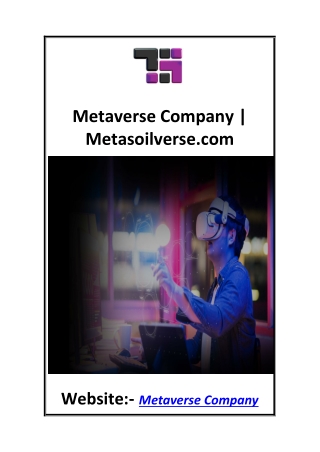 Metaverse Company  Metasoilverse.com