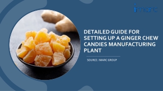 Report on Ginger Chew Candies Manufacturing Plant Setup