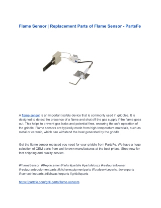 Flame Sensor _ Replacement Parts of Flame Sensor - PartsFe