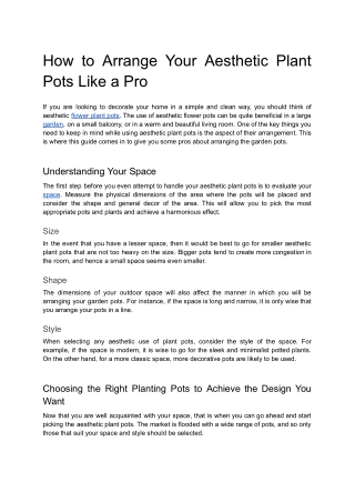 Arrange Your Aesthetic Plant Pots Like a Pro  Expert Tips & Ideas