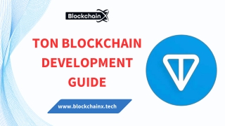 Ton blockchain development guide