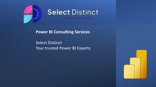 Select Distinct Power BI Consulting Services