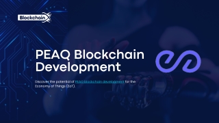 PEAQ Blockchain Development