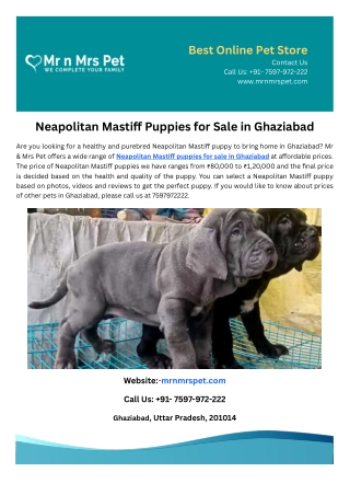 Neapolitan Mastiff Puppies for Sale in Ghaziabad