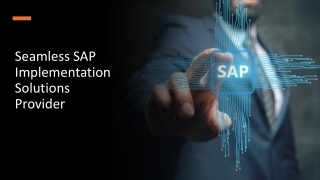 Seamless SAP Implementation Solutions Provider