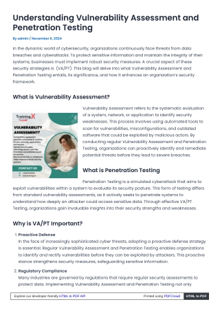 Understanding Vulnerability Assessment and Penetration Testing