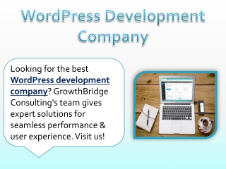 WordPress Development Company