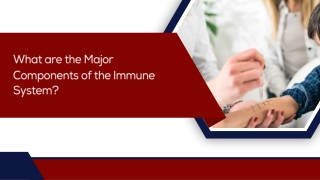 What are the Major Components of the Immune System