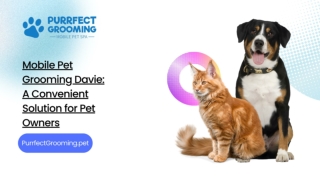 Mobile Pet Grooming Davie: A Convenient Solution for Pet Owners