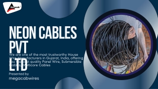 Neon Cables Pvt Ltd