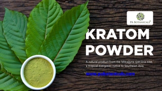 A Guide by PA Botanicals for Wholesale Kratom Buyers