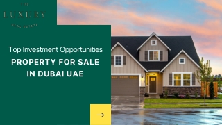 Top Investment Opportunities Property for Sale in Dubai UAE - The Luxury Real Estate