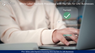 White Label Payment Processing with PayTabs for UAE Businesses